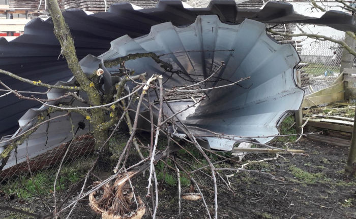 Dieses Blechdach wehte Orkan Zeynep in einen Garten