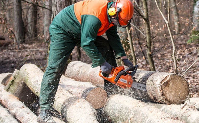 Waldarbeiter mit Gehörschutz