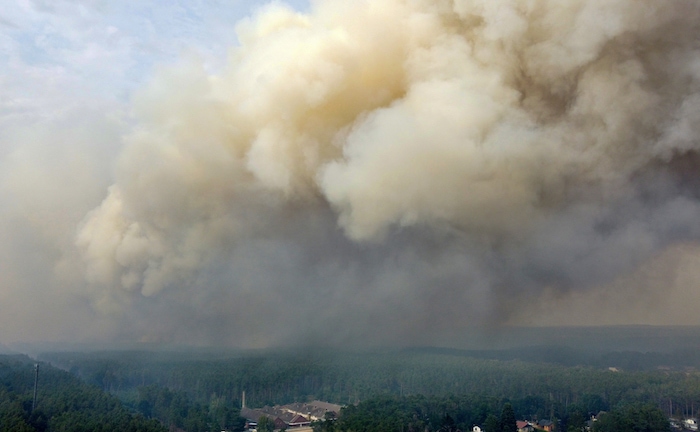 Waldbrand in Brandenburg