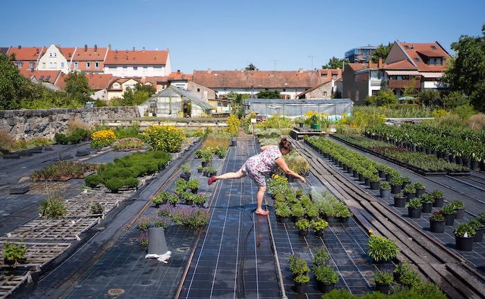 Hofstadt-Gärtnerei in Bamberg