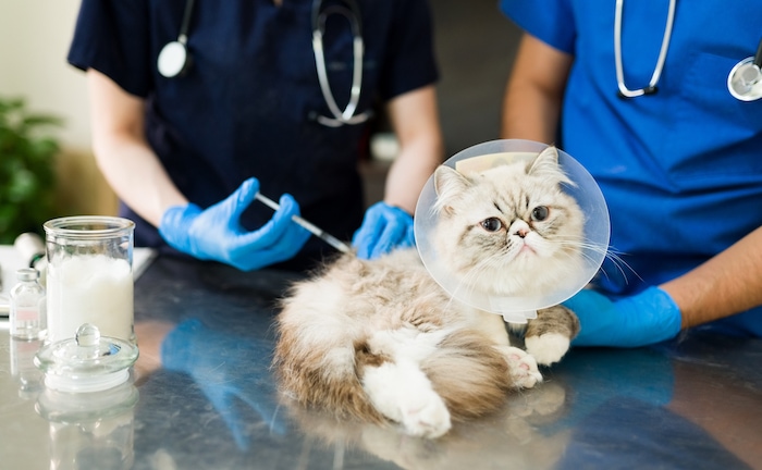 Neues aus den Ideenschmieden der Versicherer