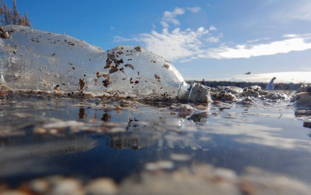 Plastikflasche am Meeresufer