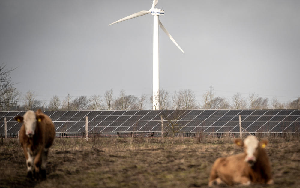 Wind- und Solar-Energie im dänischen Hjolderup (Symbolbild): Die beiden Siegerfonds in der Studie kommen aus dem Haus Pangaea Life, und von denen steckt der Blue Energy sein Geld unter anderem in Windenergie in Dänemark