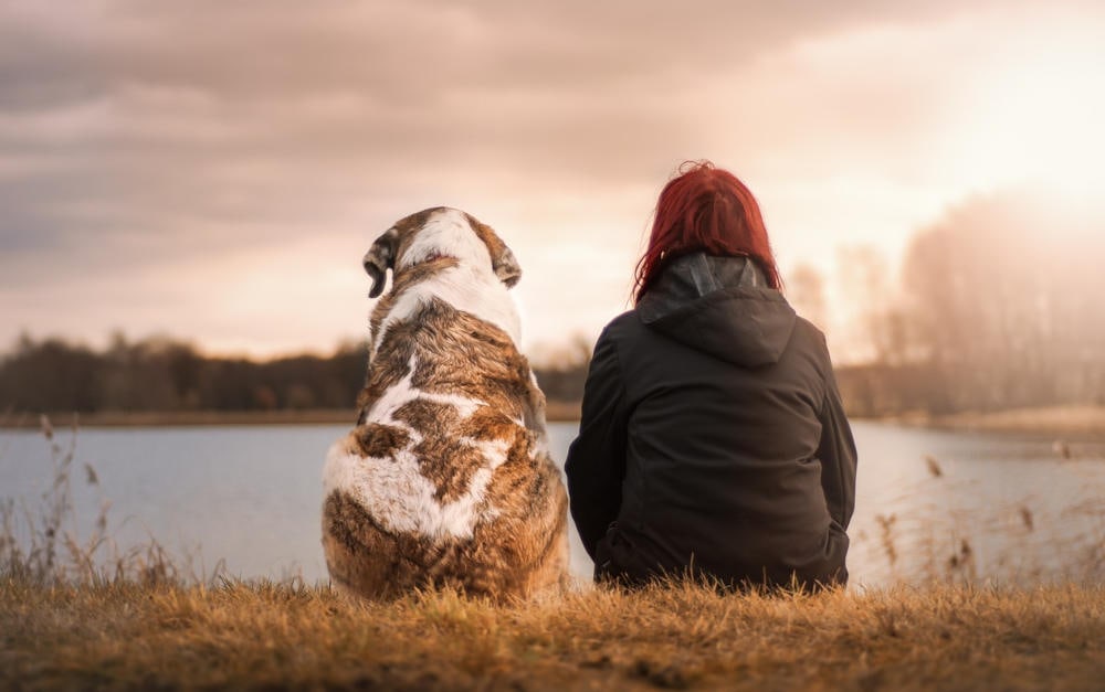 Frau mit Hund: Bei finanziellen Engpässen würden die Deutschen auf ein Haustier verzichten, wenn auch nicht als erstes
