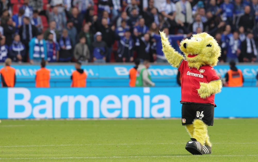 Barmenia-Werbung im Stadion von Bayer 04 Leverkusen: Rating vorerst unverändert