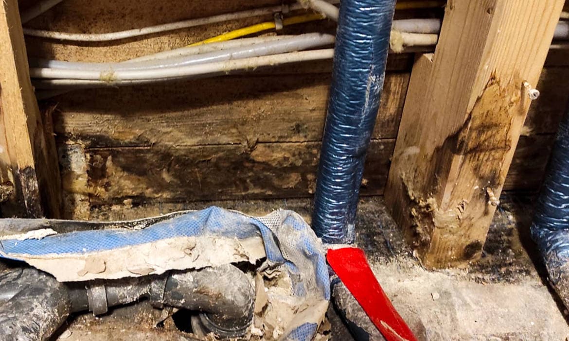 Aufgebrochene Wand mit schimmligem Holz nach einem Wasserrohrbruch: Kriterien beim Rohrbruch zugespitzt