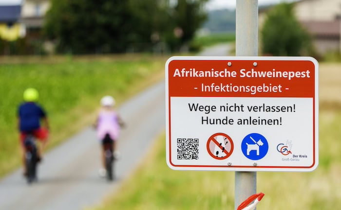In der Nähe eines betroffenen Betriebs im Kreis Groß-Gerau ist ein Hinweisschild zur Afrikanischen Schweinepest aufgestellt: Für die Landwirte in der Region hat so ein Fall erhebliche finanzielle Auswirkungen.