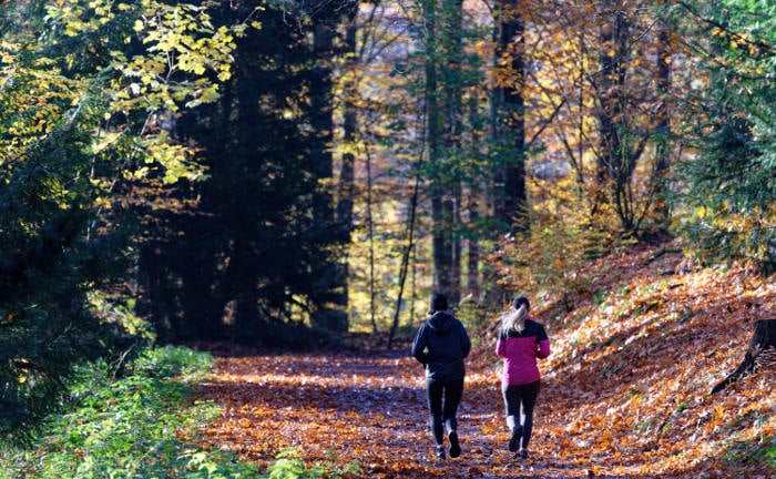 2 Personen joggen im herbstlichen Wald: Greenwashing zu beseitigen, ist wichtig, damit Anleger wirklich nachhaltige Anlagen besser erkennen.