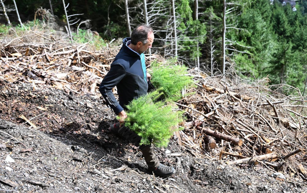 Aufforsten im Zillertal: Zu den Kriterien für nachhaltige Anlagen gehören auch Schutz vor Klimawandel und nachhaltige Wasserwirtschaft
