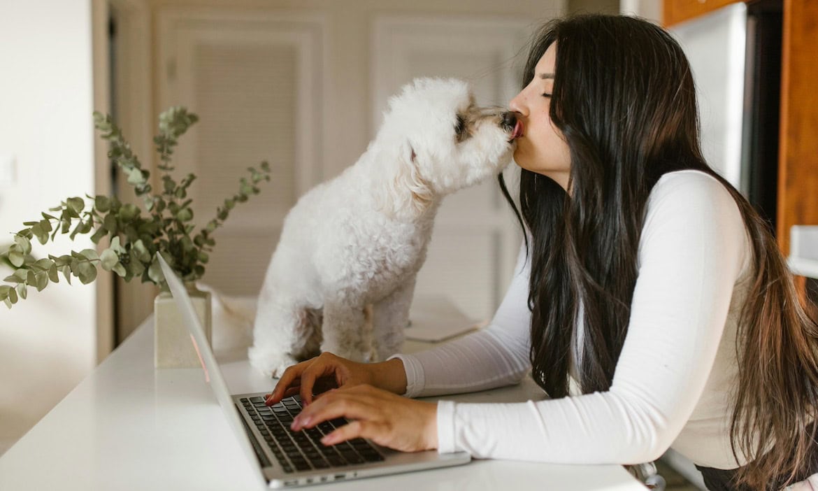 Eine betriebliche Tierversicherung? Ja, das gibt es nun. Cleos Welt schafft es damit in unsere Versicherungsprodukte der Woche.