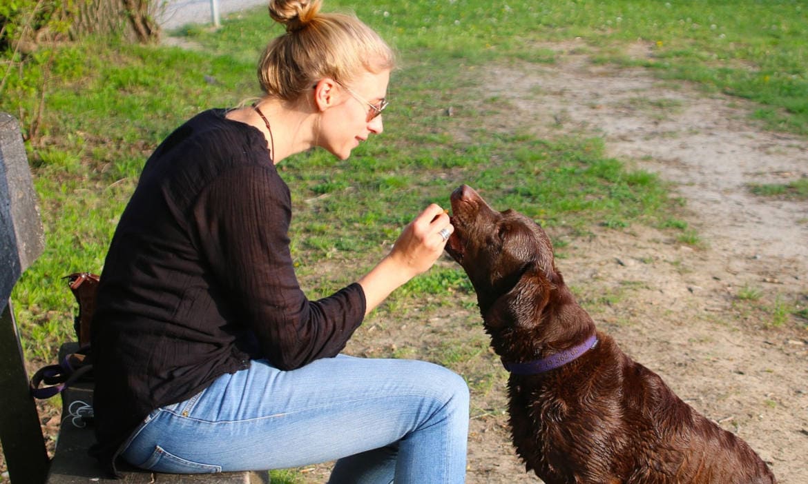 Hund mit Frauchen: Für Besitzer von großen Tieren kommt eine Tierhalter-Haftpflichtversicherung in Frage