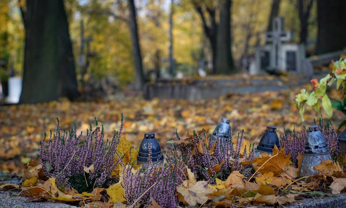 Heide und frische Blumen auf dem Friedhof: Sterbegeldversicherungen können dabei helfen, dass Hinterbliebene das Begräbnis bezahlen können
